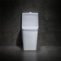 Appareils sanitaires de haute qualité monté au sol en céramique WC siphon chasse d'eau cuvette de salle de bain commode carré une pièce toilette
