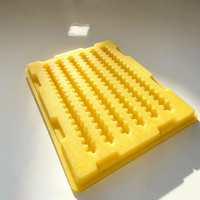 Plateau et coque en plastique PS sur mesure, pièces de formage sous vide OEM avec épaisseur de 1,3 mm, logo/impression personnalisés