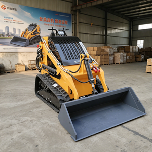 Mini-chargeuse compacte nouvelle arrivée certifiée CE EPA, capacité de 0,5 tonne, machine de terrassement, moteur et pompe, garantie 1 an - Product Image 1