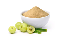Poudre de feuilles d'Amla de qualité supérieure, dérivée de la plante Emblica Officinalis, matière première végétale botanique, approvisionnement en vrac, première qualité, en bouteille