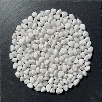Gravier de pierre naturelle polie avec texture stable et écologique pour la mise en place de cours intérieures et la production de mélanges de terrazzo