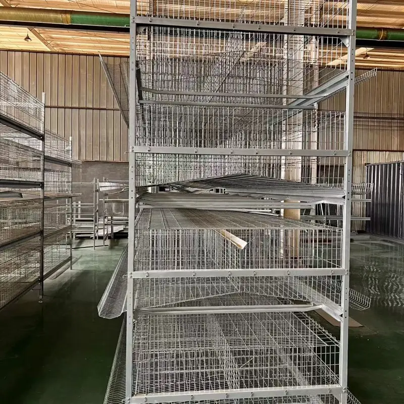 Otomatis industri murah lapisan besar jenis kandang ayam kandang Broiler kandang untuk ayam petelur untuk Perancis