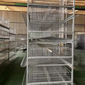 Automatic Industrial Cheap Layer Large Atype Chicken Coop House Broiler Cage for Laying Hens for France