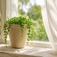 Pot de fleurs écologique en pulpe de bagasse personnalisé, pot de bureau biodégradable en papier pour la décoration des plantes de balcon à domicile