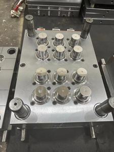 Tiêm khuôn mẫu nhà cung cấp Nắp nhựa khuôn vật nuôi trong suốt mỹ phẩm bìa <span class=keywords><strong>cap</strong></span> khuôn <span class=keywords><strong>Maker</strong></span> taizhou nhà sản xuất - Product Image 6