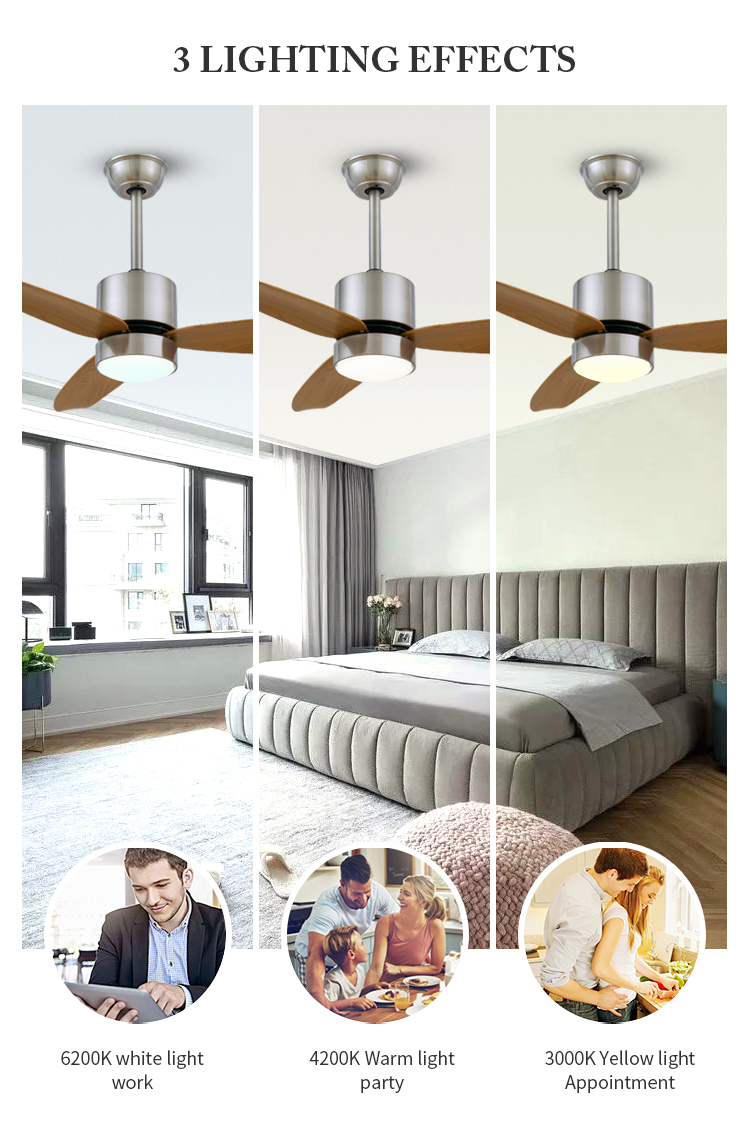 Breezelux  ABS blade ceilling fans DC ceiling fan with lights and remote control