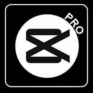 สิทธิ์ใช้งานซอฟต์แวร์ Capcut Pro บัญชี Capcut Pro สำหรับตัดต่อวิดีโอ การสมัครสมาชิก Capcut 1 เดือน - Product Image 4