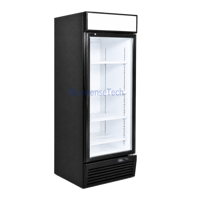 Congélateur vertical à grande capacité, refroidissement par air ventilé, porte vitrée, stockage de crème glacée