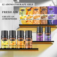 Extraits naturels de plantes d'huile essentielle soluble dans l'eau de longue durée de 5ml avec produit d'aromathérapie au parfum intense