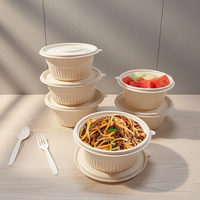 Boîtes à lunch jetables en PP de qualité alimentaire, résistantes aux fuites, avec couvercles, pour la vente à emporter et l'emballage de la restauration rapide
