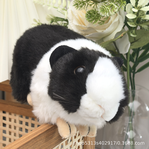 Conejillo <span class=keywords><strong>DE</strong></span> INDIAS juguetes <span class=keywords><strong>de</strong></span> peluche simulación juguetes <span class=keywords><strong>de</strong></span> animales salvajes muñeca <span class=keywords><strong>Vida</strong></span> Marina Cavy hámster juguetes <span class=keywords><strong>de</strong></span> peluche almohada - Product Image 6
