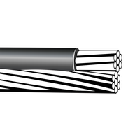 Beste Qualität Chinesischer Hersteller Periwinkle Triplex Service 2-Paar-Edelstahl-Abc-Kabel mit AC SR Neutralleiterklemme