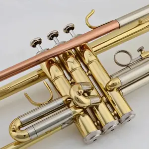 B Flat Brass Gió Sinh Viên Người Mới Bắt Đầu Chơi Chuyên Nghiệp Dụng Cụ Bán Buôn Ống Thô Trumpet