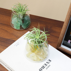 Kit de terrarium en <span class=keywords><strong>pierre</strong></span> brute de cristal naturel en gros pour plantes <span class=keywords><strong>a</strong></span>ériennes, idéal pour la décoration de bureau à domicile et comme cadeau de guérison spirituelle - Product Image 5