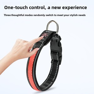 Leuchtendes 100% Nylon Hundehalsband für Spaziergänge Wiederaufladbar & Verstellbar für Große/Mittlere/Kleine Hunde - Product Image 3