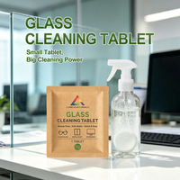 Tablettes nettoyantes dissolvables 5g pour vitres, fourniture d'usine OEM ODM pour le nettoyage domestique