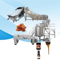 Meilleur prix 500 kg/h ligne de production de miel de dattes de palme usine de traitement de sirop de mélasse de dattes