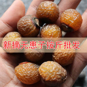Graines de Bodhi, Baies de Savon Naturelles (Sapindus Mukorossi) 500g, Perles en Vrac, Matériau de Nettoyage Naturel, Origine Hangzhou, Printemps 2025 - Product Image 4