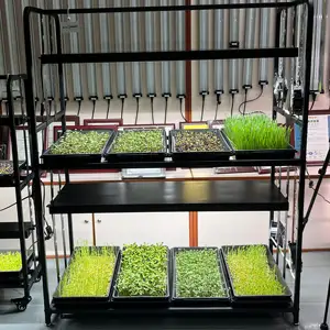 Trong nhà làm vườn phát triển hệ thống Kit Grow Rack kệ với LED quang phổ đầy đủ phát triển ánh sáng