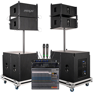 Sistema de Sonido Profesional para Exteriores INSIGAI, Subwoofer con Caja de Madera, Unidad de 10 Pulgadas, 700W de Potencia Programable - Product Image 1
