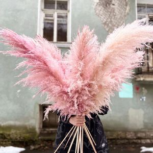 Pampas secas y esponjosas de Color blanco, grandes, flores, Pampus, decoración, césped - Product Image 4