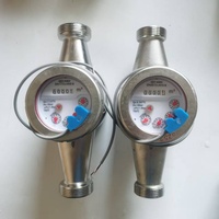 Medidor de Agua de Pulso de Acero Inoxidable SS304, Medidor de Flujo de Agua con Salida de Pulso Anticorrosión DN15 DN50 IP68 Impermeable