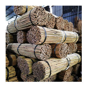 <span class=keywords><strong>2m</strong></span> 18-20mmPiquets de plantes Bâtonnets de <span class=keywords><strong>bambou</strong></span> naturel de jardin pour intérieur et extérieur pour tomates, haricots, plantes <span class=keywords><strong>en</strong></span> <span class=keywords><strong>pot</strong></span> - Product Image 4