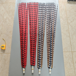Plumas Artificiales <span class=keywords><strong>de</strong></span> Faisán Reeves en Oferta, 60-160 cm, Color Natural, para Disfraces, Fiestas, Bodas, Decoraciones <span class=keywords><strong>de</strong></span> Carnaval - Product Image 2