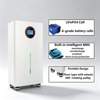 AB Stok Depolama Bataryası 48V 51.2v 314AH Lifepo4 Batarya 16kwh Ev Tipi Powerwall Güneş Enerjisi Yedek Sistemi Lityum Batarya 15kwh