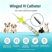 Cannule IV féline jetable, échantillon gratuit