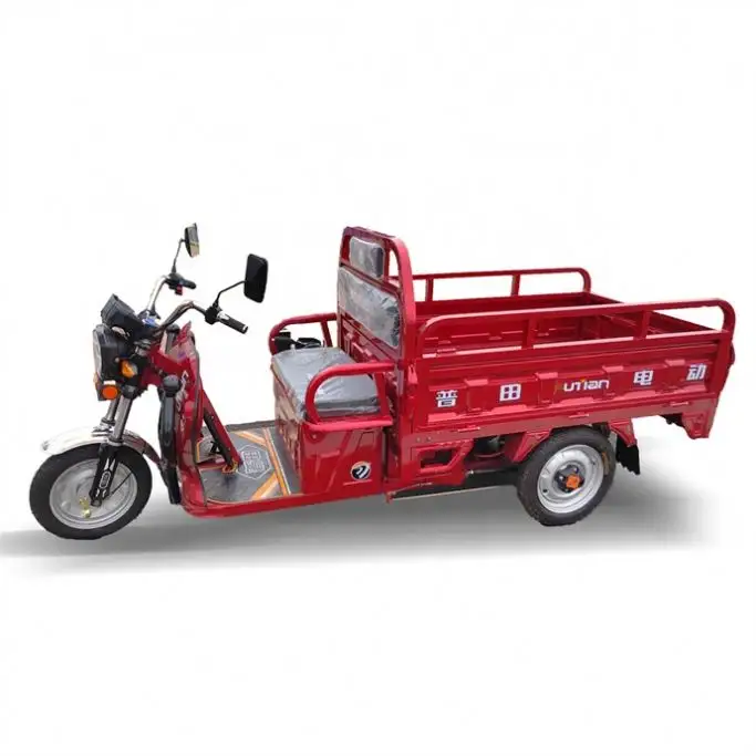 New Design Hot Sale Good Quality 60V 800W Electric tricycle for Sale