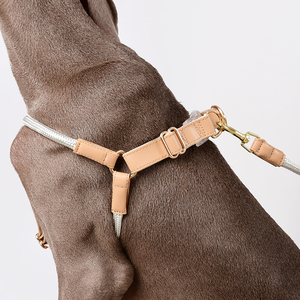 Nylon Hondentuig En Leiband Set Verstelbare Gepersonaliseerde Voorraad Groothandel Luxe Gerecycled Katoen Huisdier Touw Accessoires - Product Image 3