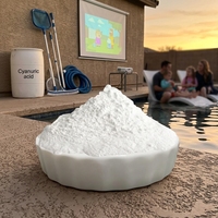 Stabilisateur CYA pour piscine CYA20260924E, formulé pour un chlore optimal