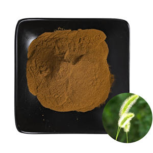 Atkuyruğu özü 10:1 30:1 organik silikon 7% suda çözünür atkuyruğu tozu bitki özü - Product Image 1