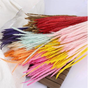 Herbe de la <span class=keywords><strong>pampa</strong></span> naturelle Eastern Rock, décoration du 1er avril, bouquet de fleurs éternelles de grande taille, couleur blanchie originale, séchée - Product Image 4