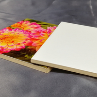 Carreaux de Céramique Émaillés Blancs Vierges Hautement Brillants pour Sublimation, Cadres Photo, Médailles – Matériau Porcelaine pour Sols Intérieurs