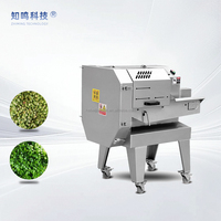 Multifunctionele automatische groente- en fruitsnijder/slicer van SUS304 roestvrij staal, capaciteit 2000 kg/uur voor de verwerking van groenten en fruit