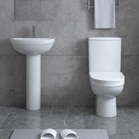 Garde-robe de salle de bain sans monture peu encombrante Toilette sanitaire Dos au mur Toilette en céramique sans réservoir d'eau Toilette Western Piss