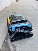 Tondeuse à gazon télécommandée USA Europe DDP CE RC pour pentes, robotiseuse sur chenilles EPA