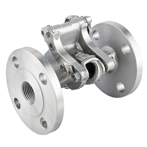 Válvula de Retención Covna B2B en Liquidación, Filtro en Y con Brida de 6 Pulgadas, Acero Fundido, Brida DIN PN16, Filtros de Tipo Y - Product Image 5