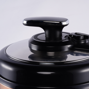 Olla Arrocera Moderna de 6L, Automática y Multifuncional para el Hogar y Hoteles, Carcasa de Acero Inoxidable, Apta para Exteriores - Product Image 4