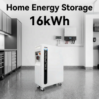 Batterie de stockage solaire hybride EXLIPORC Split IP65 CAN LiFePO4 16 kWh 51,2 V 314 Ah avec BMS intelligent, système d'alimentation domestique mural