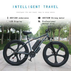 จักรยานไฟฟ้า AKEZ 48V 750W ยางใหญ่ |   จักรยานไฟฟ้าผจญภัย HZ SNOW YITI AKEZ Electri โครงอะลูมิเนียม ล้อในตัว และยางกันลื่นสำหรับหิมะ - Product Image 6