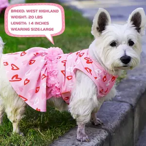 ZYZ PET tatil açık köpek giysileri kıyafet, küçük köpekler için köpek giysileri, köpek elbise gömlek kostüm moda
