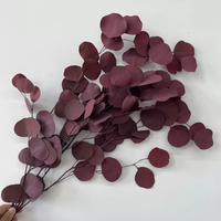 Arrangement floral éternel : Feuilles d'eucalyptus naturelles préservées avec branche et feuilles d'eucalyptus pomme à feuilles rondes naturelles