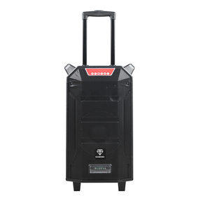 Machine à karaoké 10 ''Trolly Bass Speaker Système de sonorisation Portable Blue Tooth Speaker Party Audio Support TWS/<span class=keywords><strong>REC</strong></span>/AUX IN/MP3/USB/TF/FM - Product Image 2