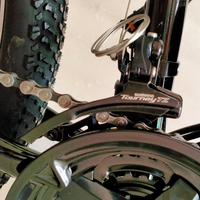 Sepeda Listrik 26 inci yang Hemat Biaya dengan MOTOR 36V 12.5AH 350W (FP-EB2204)