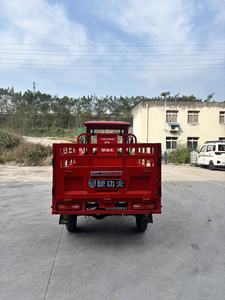 Tricycle KungFu <span class=keywords><strong>Tiger</strong></span>-Rui / Vente Flash / Tricycle à Trois Roues / <span class=keywords><strong>200cc</strong></span> / Tricycle à 3 Roues Droites / <span class=keywords><strong>Moto</strong></span> Tricycle / Alimentation à Essence / NOUVEAU 2026 - Product Image 5