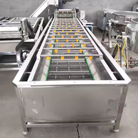 Automatische luchtbelwasmachine voor bladgroenten, fruit, aardappelen, wortelen, komkommers en voedselverwerking