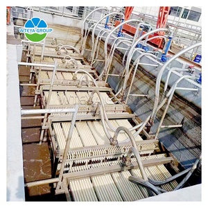 Bán hàng trực tiếp New MBR màng xử lý nước thải hệ thống pvdf lò phản ứng biogeo MBR xử lý nước nhà máy xử lý nước PLC lõi - Product Image 6